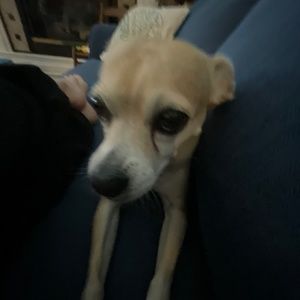 Meet your Posher, Mae